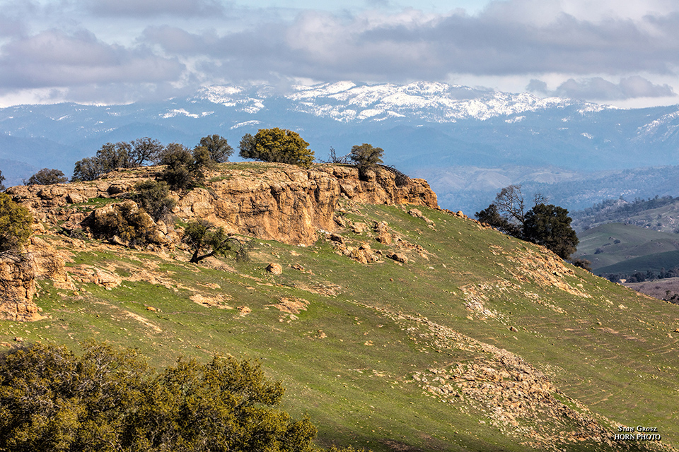 Tesoro Viejo Horn Photo